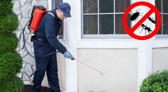 Çatalca Tahtakurusu İlaçlama böcek ilaçlama ve haşere kontrolü — ilaclama-tr.com